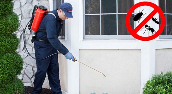 Bolvadin Gümüşkurt İlaçlama böcek ilaçlama ve haşere kontrolü — ilaclama-tr.com